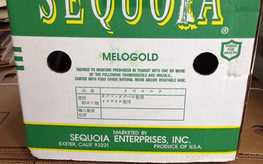 Sequoia